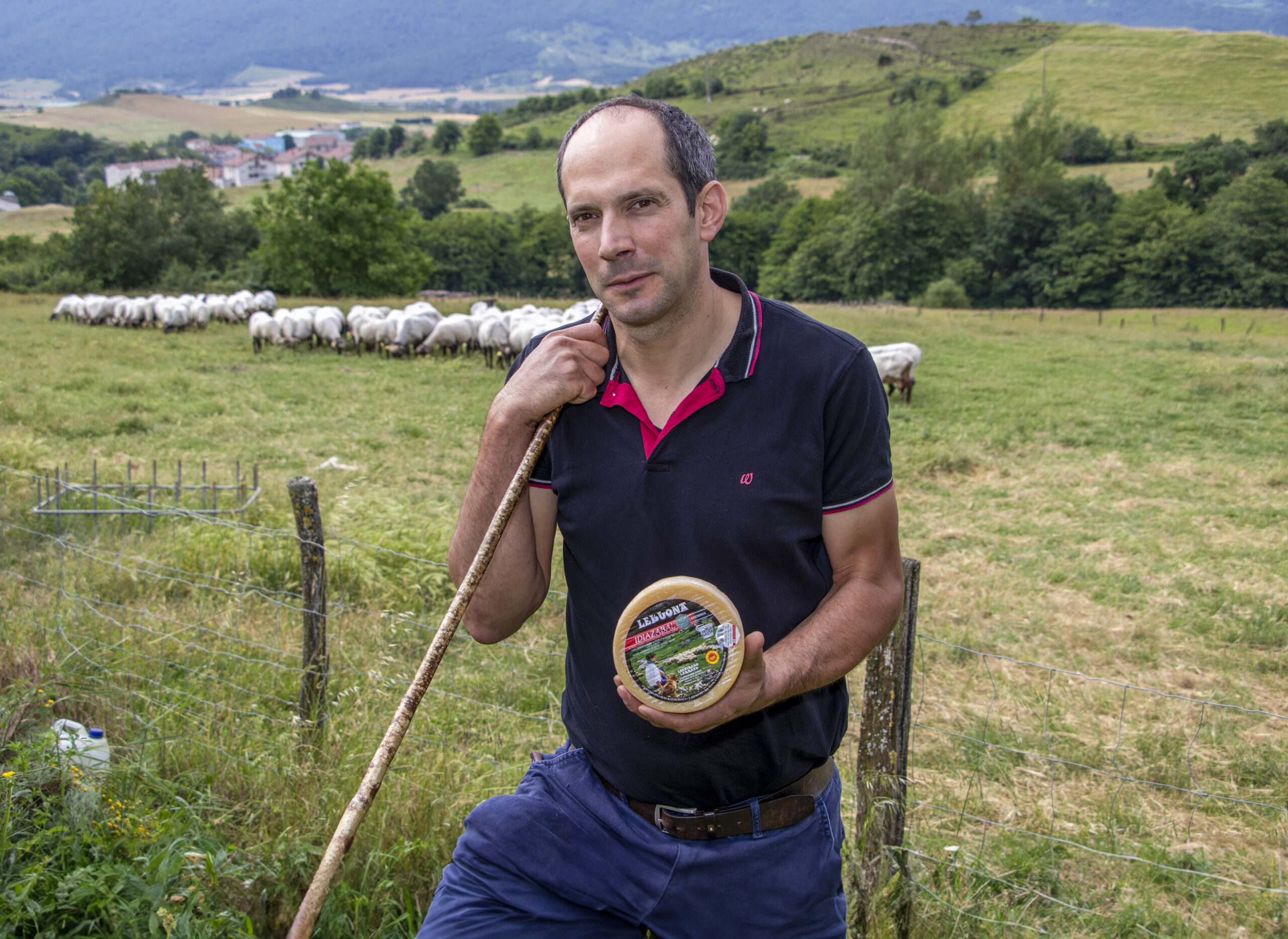 pastor en el campo con el rebaño de ovejas y una pieza de queso